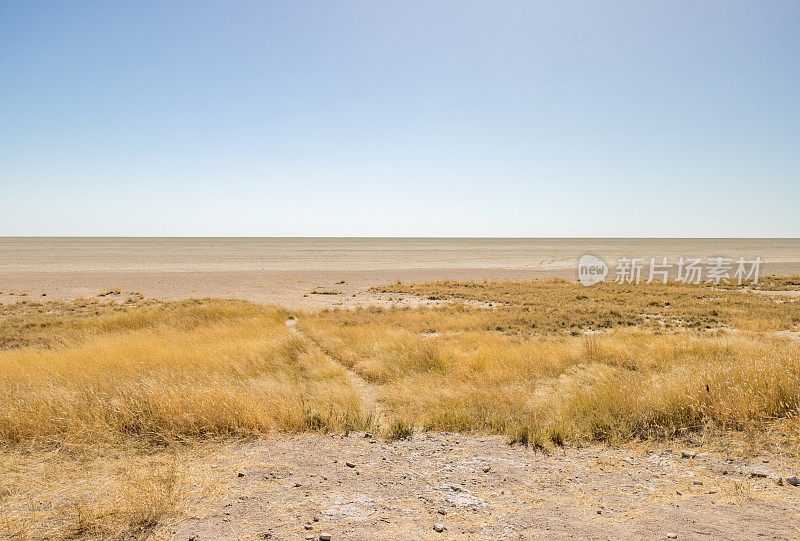 Etosha Pan在纳米比亚库内地区的Etosha国家公园